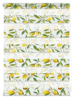 Produktbild von Lichtblick Doppelrollo blickdicht ohne Bohren 90 cm x 150 cm (B x L)