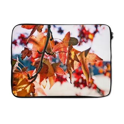 Produktbild von MuchoWow® Laptop Hülle 13 Zoll Ahorn - Blätter - Rustikal - Herbst Laptoptasche - Laptophülle - Sleeve - Rundumschutz