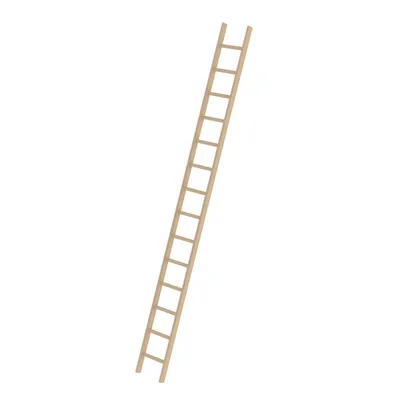 Produktbild von MUNK Holz-Anlegeleiter ohne Traverse 14 Sprossen