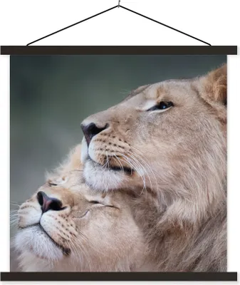 Produktbild von MuchoWow® Textilposter Löwe - Wilde Tiere - Big Five 90x90 cm mit schwarzem Rahmen - Magnetisches