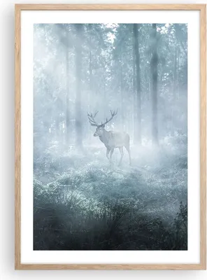 Produktbild von Gerahmtes Poster - Rahmen in heller Eiche - Hirsch Wald Morgendämmerung - 50x70 cm - Wand Bild - Wanddeko - Wandbilder - Kunstposter - Wandposter - Bilderrahmen - Bilder - Kunstdruck - P2NPA50x70-4667