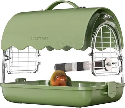 Produktbild von Famanu Vogeltransportrucksack mit Sitzstange - Grün
