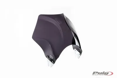 Produktbild von PUIG 4113F Raptor  passend fuer SUZUKI GSF650 BANDIT Stark getönt