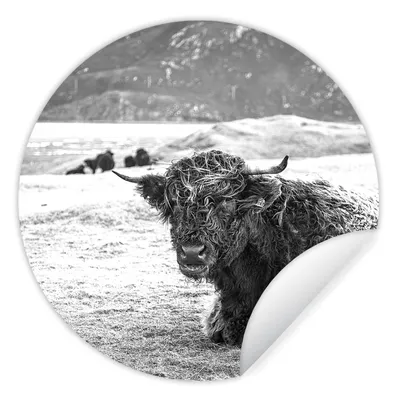 Produktbild von MuchoWow® Runde Wandtattoo - Wandsticker Tapete Aufkleber Schottischer Highlander - Berg - Tiere Ø 50 cm Selbstklebend und Repositionierbar - Wandaufkleber - Kreis - Wand Kreis - Wand Bild - Foto Tapete - Selbstklebende - Wohnzimmerdekoration - Wand Dekoration - Kinderzimmer