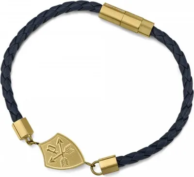 Produktbild von Damenarmband Police PEAGB0001606