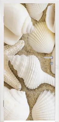Obrázok produktu pre MuchoWow® Tapety na dvere - Samolepiaca fólia na dvere - Mušľa - Pláž - biela - 235x90x0.1cm - Plagát na dvere - Samolepiaca fólia na dvere