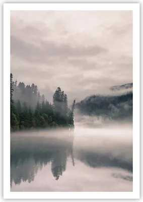 Produktbild von Poster - Poster ohne Rahmen - Reflexion Nebel Landschaft - 70x100 cm - Wand Bild - Wanddeko - Wandbilder - Kunstposter - Wandposter - Bilder - Kunstdruck - Wanddekoration - Wandbild - P2XPA70x100-4482