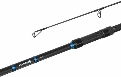 Image de Delphin CAPRI NXT 360cm/3,5lbs/2 parties