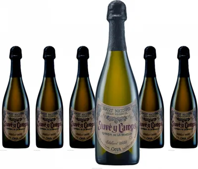 Produktbild von 6 x Juvé & Camps Cava Gran Reserva Brut Nature Reserva De La Familia – 2017