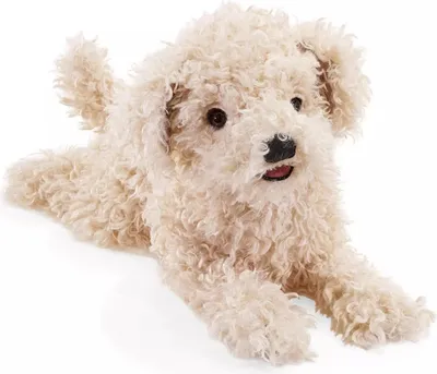 Produktbild von Folkmanis Handpuppe Pudelwelpe weiß / White Poodle Puppy 3241