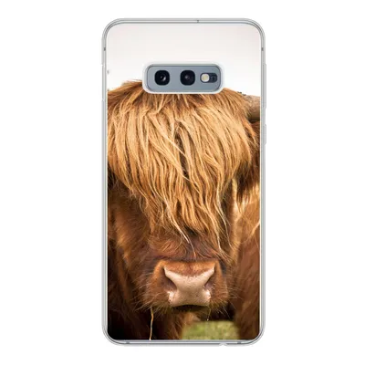 Produktbild von MuchoWow® Handyhülle Schutzhülle Hülle für Samsung Galaxy S10e Schottische Highlander - Braun - Gras Silikon Softcase Handy Hülle - Handy