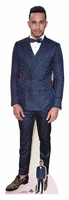 Obrázek produktu pro Formule 1 - Lewis Hamilton - Červený koberec - Stojan z kartonu - 54x174 cm