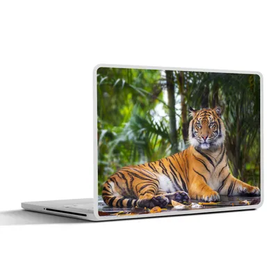 Produktbild von MuchoWow® Laptop Aufkleber Sticker Cover Tiger - Tiere - Wald - Dschungel 40x30 cm - Laptop Dekoration - Selbstklebend