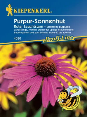 Produktbild von [STREICHUNG 2024] Purpur - Sonnenhut Roter Leuchtstern | Sonnenhutsamen von Kiepenkerl