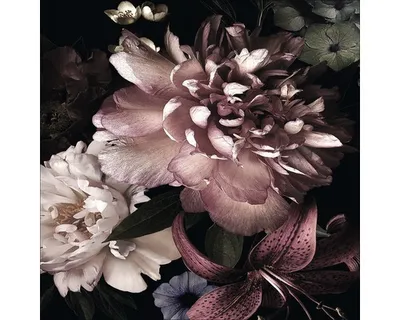 Produktbild von Glasbild Beautiful Roses 50x50 cm