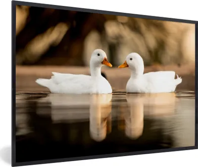 Produktbild von MuchoWow® Gerahmtes Poster Ente - Weiß - Tiere - Wasser - Vogel - Enten 90x60 cm - Poster mit Schwarzem Bilderrahmen Wandposter Rahmen Foto Bilder - Fotorahmen - Foto-Plakat