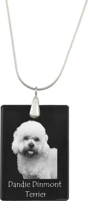 Image de Dandie Dinmont Terrier - Pendentif en cristal avec chien, collier en argent avec photo, pendentif personnalisé de la marque Art-Dog