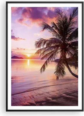 Produktbild von Gerahmtes Poster - Schwarzer Rahmen - Strand Meer Palme - 70x100 cm - Wand Bild - Wanddeko - Wandbilder - Kunstposter - Wandposter - Bilderrahmen - Bilder - Kunstdruck - Wandbild - P2BPA70x100-3912