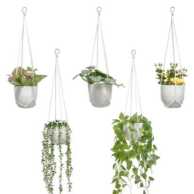 Image de Lot de 5 suspensions pour plantes en macramé, supports pour pots de fleurs, suspensions, décoration bohème, suspensions en corde de coton, pots de fleurs, supports pour plantes, suspensions d'intérieur, balcons