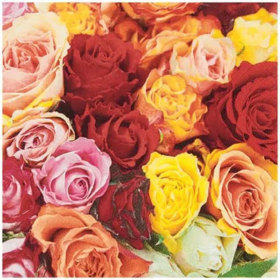 Produktbild von 20 Servietten Carpet of Roses - Prächtige Rosenvielfalt 33x33cm