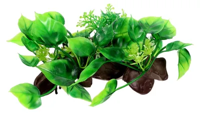 Produktbild von Künstliche Aquariumpflanze für die Dekoration von Aquarien