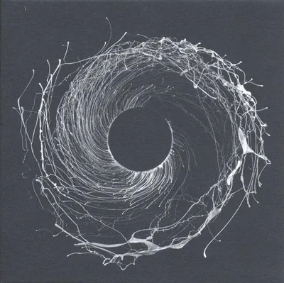 Obrázok produktu pre Dawn Of Midi: Dysnomia -   - (LP / D)
