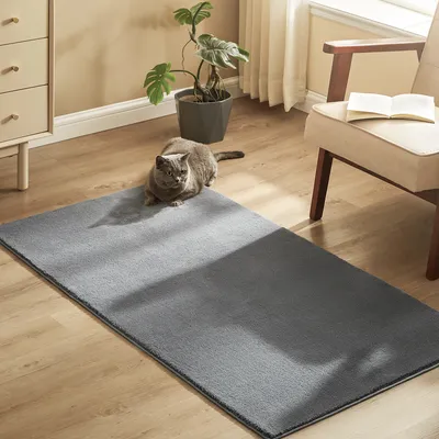 Produktbild von SONGMICS Kurzflorteppich, 80 x 150 cm, rutschfester, maschinenwaschbar, grau, Wohnzimmerteppich