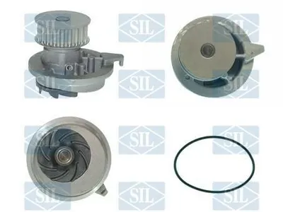 Produktbild von Saleri SIL PA427P Wasserpumpe