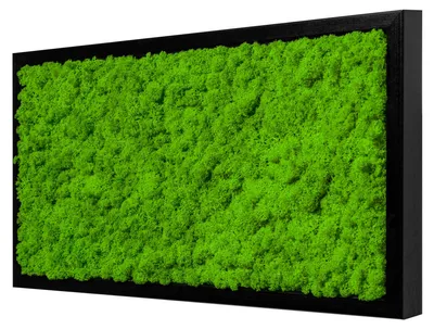 Produktbild von Moosbild Iceland Design (60x30, schwarz)