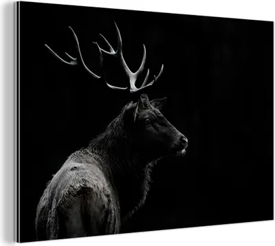 Obrázok produktu pre Nástenná dekorácia Kovový kovový obraz Wall Art 30x20cm Jeleň - Čierny - Portrét - Parožie - Zvieratá Muchowow Hliníkové obrazy
