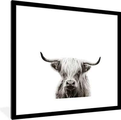 Produktbild von MuchoWow® MuchoWow® Gerahmtes Poster Porträt Schottisches Hochlandrind - Schottische Kuh - Schwarz und weiß 40x40 cm - Poster mit zchwarzem Bilderrahmen - Poster - Plakat im Rahmen