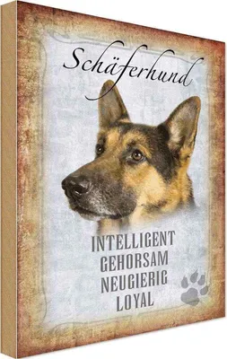 Produktbild von vianmo Holzschild 18x12 cm Schäferhund Hund Tier Haustier