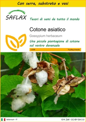 Immagine prodotto di SAFLAX Insieme di coltivazione - Cotone asiatico - 12 semi - Gossypium