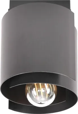 Image de HUGO 1 Lampa taklampa noir mat