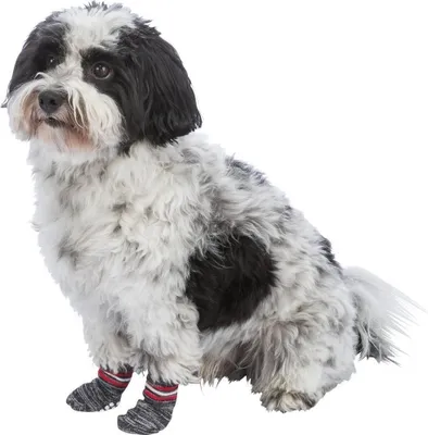 Produktbild von TRIXIE Hundesocken XL 6 cm Pfotenbreite 16 cm hoch Anti-Rutsch-Sohle grau