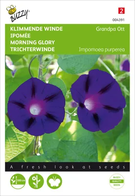 Productafbeelding van Ipomoea Grandpa Ott | Klimplanten van Buzzy Seeds