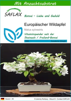 Produktbild von SAFLAX - Europäischer Wildapfel - Malus sylvestris - 30 Samen - Mit keimfreiem Anzuchtsubstrat