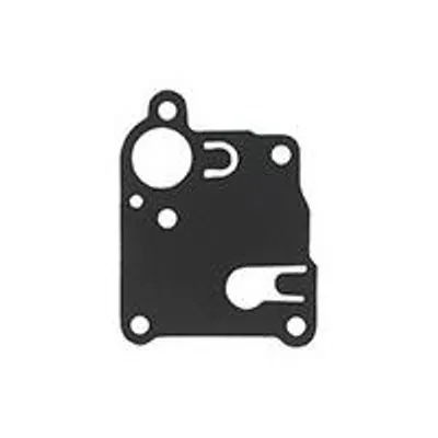 Image de Membrane Adaptable Pour Briggs & Stratton. Remplace Origine: 270253.