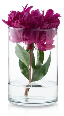 Produktbild von GotGlass Glaszylinder-Vase 15cm transparent schlicht