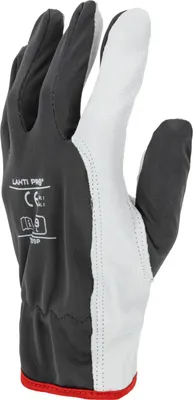 Produktbild von Ziegenlederhandschuhe, Grau L273209P, Karte, "9", Ce, Lahti