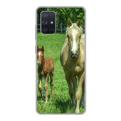 Produktbild von MuchoWow® Handyhülle Schutzhülle Hülle für Samsung Galaxy A51 Pferd - Fohlen - Tiere Silikon Softcase Handy Hülle - Schutzabdeckung