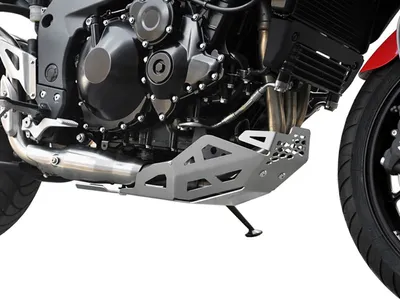 Produktbild von ZIEGER Motorschutz kompatibel mit Triumph Tiger 1050 silber