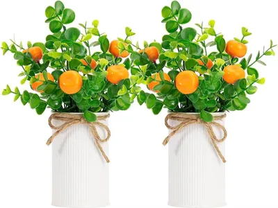 Obrázek produktu pro 2pcs Artificial Fruit Potted Plants Simulation Decorative Fruit Tree Bonsai for Home Tabletop Decoration Orange