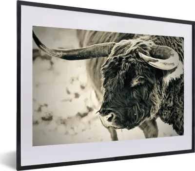 Produktbild von MuchoWow® MuchoWow® Gerahmtes Poster Schottisches Hochlandrind - Schnee - Hörner 60x40 cm - Poster mit zchwarzem Bilderrahmen - Schlafzimmer - Plakat in Rahmen - Drucken