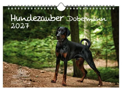 Produktbild von Hundezauber Dobermann DIN A4 Kalender für 2027 Welpen und Hunde
