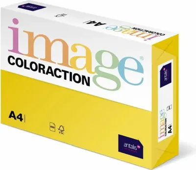 Obrázok produktu pre Kopa A4 Kana.GelbMix Coloraction, 250Bl, 120g