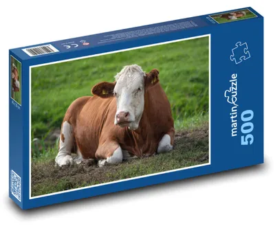 Zdjęcie produktu dla Puzzle 500 Krowa na zielonej łące - martinpuzzle