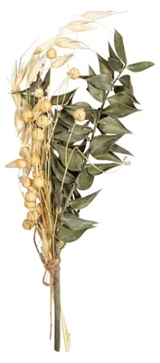 Produktbild von Rayher Trockenblumen-Strauß, piniengrün/Hellbeige Töne, Mini-Strauß Trockenblume