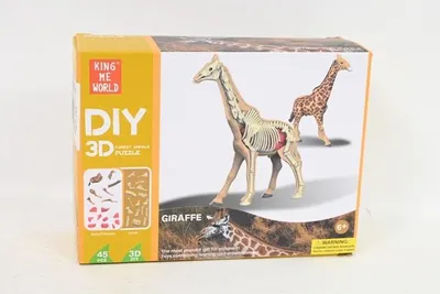 Immagine prodotto di Animali modello anatomico 2002264 22640
