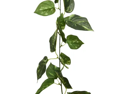 Produktbild von Girlande Kunstpflanze Kunstblume Polyester grün Höhe 180 cm